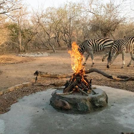 Hello Kruger Hideaway Cottage & Skilpad Studio マールロス・パーク エクステリア 写真