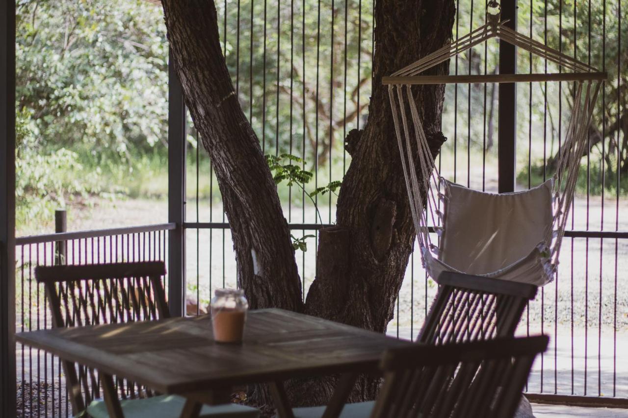 Hello Kruger Hideaway Cottage & Skilpad Studio マールロス・パーク エクステリア 写真