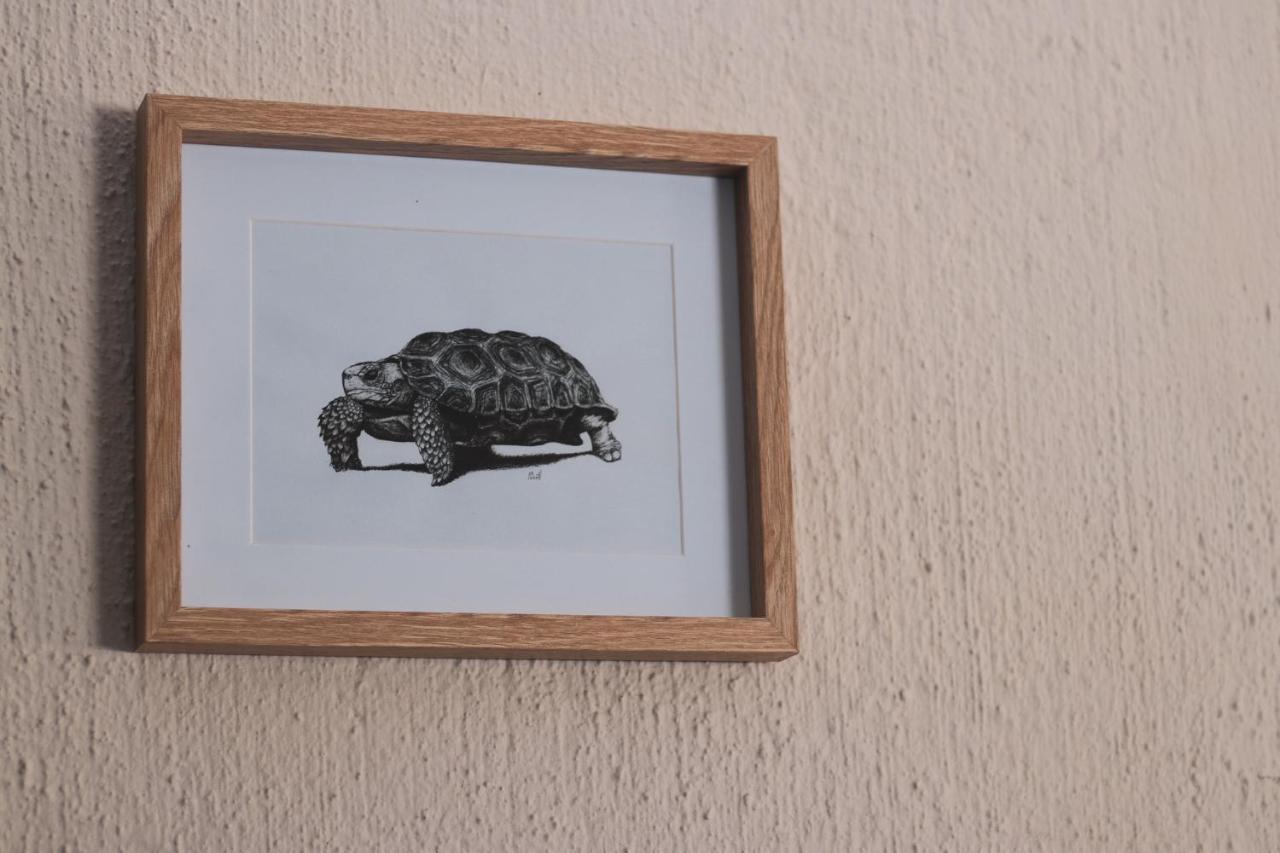 Hello Kruger Hideaway Cottage & Skilpad Studio マールロス・パーク エクステリア 写真