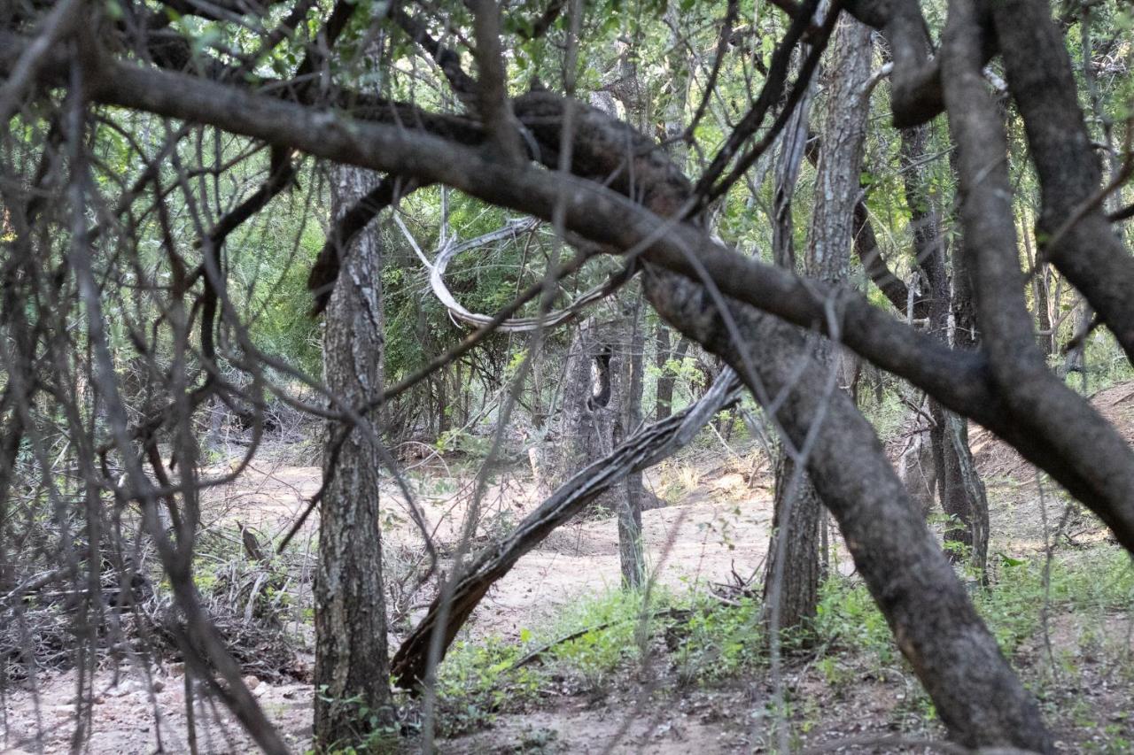 Hello Kruger Hideaway Cottage & Skilpad Studio マールロス・パーク エクステリア 写真