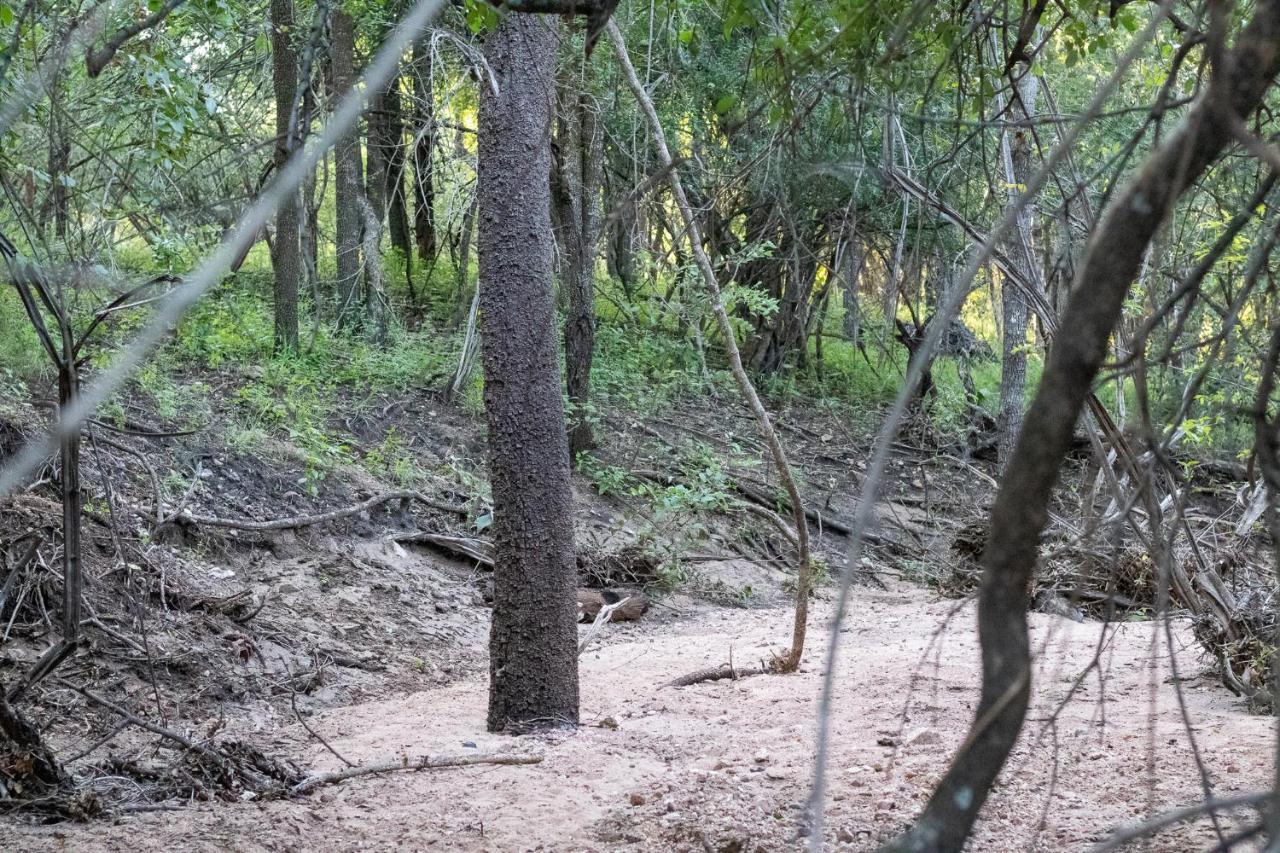 Hello Kruger Hideaway Cottage & Skilpad Studio マールロス・パーク エクステリア 写真